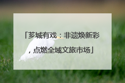 芗城有戏：非遗焕新彩，点燃全域文旅市场