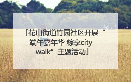 花山街道竹园社区开展“端午嘉年华 粽享city walk”主题活动
