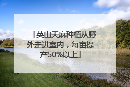 英山天麻种植从野外走进室内，每亩提产50%以上