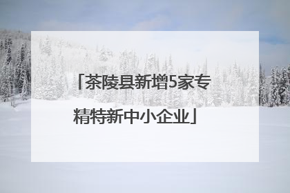 茶陵县新增5家专精特新中小企业