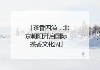 茶香四溢，北京朝阳开启国际茶香文化周