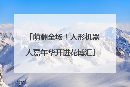 萌翻全场！人形机器人嘉年华开进花博汇