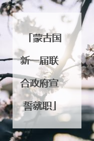 蒙古国新一届联合政府宣誓就职