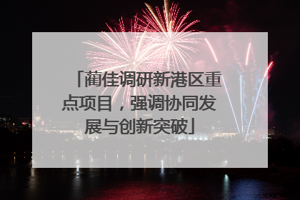 蔺佳调研新港区重点项目，强调协同发展与创新突破