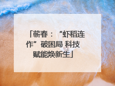 蕲春：“虾稻连作”破困局 科技赋能焕新生
