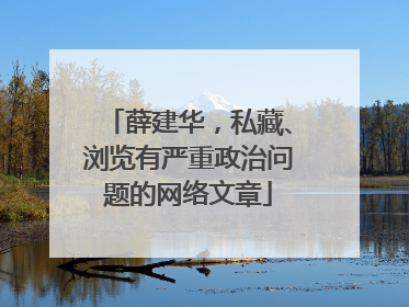 薛建华，私藏、浏览有严重政治问题的网络文章