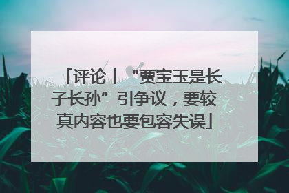 评论丨“贾宝玉是长子长孙”引争议，要较真内容也要包容失误