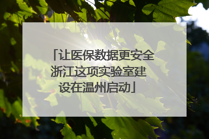 让医保数据更安全 浙江这项实验室建设在温州启动