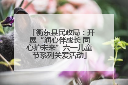 衡东县民政局：开展“润心伴成长 同心护未来”六一儿童节系列关爱活动