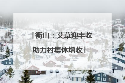 衡山：艾草迎丰收 助力村集体增收