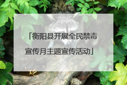 衡阳县开展全民禁毒宣传月主题宣传活动