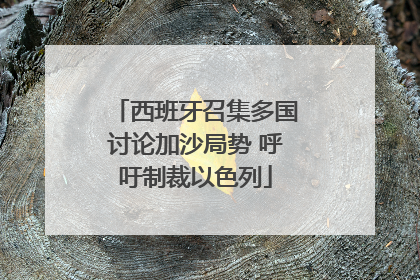 西班牙召集多国讨论加沙局势 呼吁制裁以色列