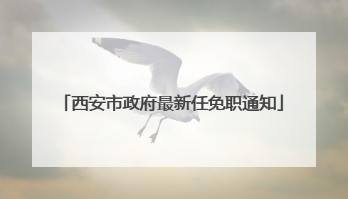 西安市政府最新任免职通知