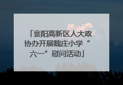襄阳高新区人大政协办开展魏庄小学“六一”慰问活动