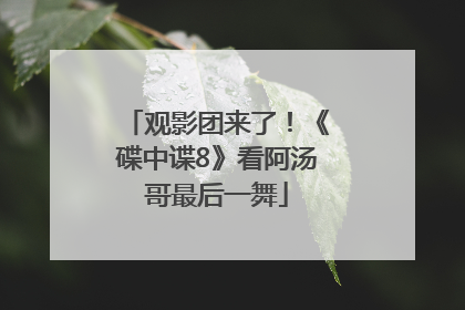 观影团来了！《碟中谍8》看阿汤哥最后一舞