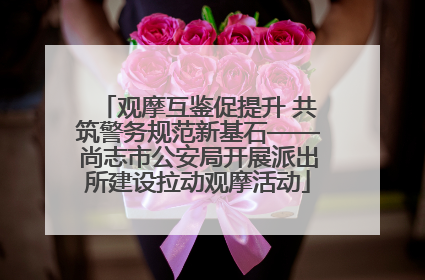 观摩互鉴促提升 共筑警务规范新基石——尚志市公安局开展派出所建设拉动观摩活动