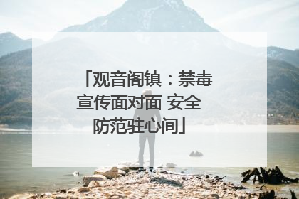 观音阁镇：禁毒宣传面对面 安全防范驻心间