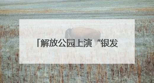 解放公园上演“银发盛宴” 袁家社区老年居民登电视舞台诠释 “老有所乐”