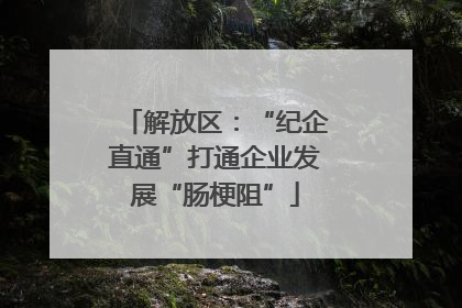 解放区：“纪企直通”打通企业发展“肠梗阻”