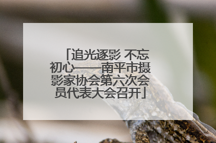 追光逐影 不忘初心——南平市摄影家协会第六次会员代表大会召开