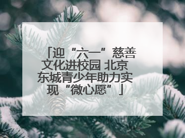 迎“六一”慈善文化进校园 北京东城青少年助力实现“微心愿”