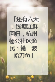 还有六天，钱塘江鲜回归，杭州杨公社区渔民：第一波盼刀鱼