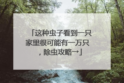 这种虫子看到一只家里很可能有一万只，除虫攻略→