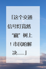 这个交通信号灯竟然“藏”树上！市民盼解决……