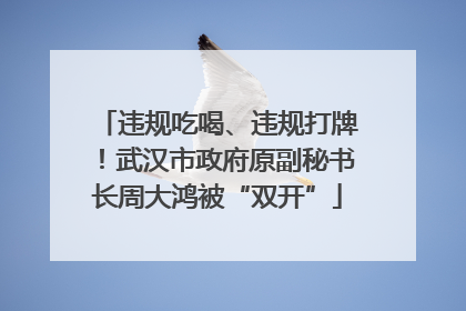 违规吃喝、违规打牌！武汉市政府原副秘书长周大鸿被“双开”