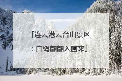 连云港云台山景区：白鹭翩翩入画来