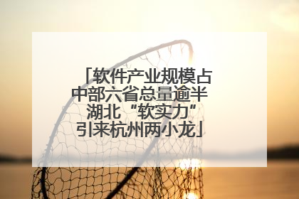 软件产业规模占中部六省总量逾半 湖北“软实力”引来杭州两小龙