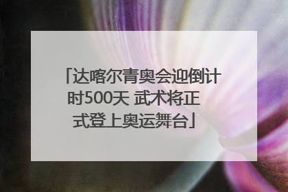 达喀尔青奥会迎倒计时500天 武术将正式登上奥运舞台