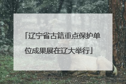 辽宁省古籍重点保护单位成果展在辽大举行