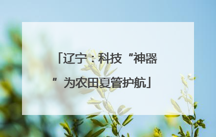 辽宁：科技“神器”为农田夏管护航