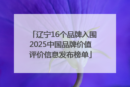 辽宁16个品牌入围2025中国品牌价值评价信息发布榜单