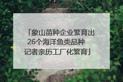 象山苗种企业繁育出26个海洋鱼类品种 记者亲历工厂化繁育