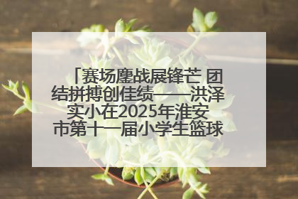 赛场鏖战展锋芒 团结拼搏创佳绩——洪泽实小在2025年淮安市第十一届小学生篮球比赛中再获佳绩