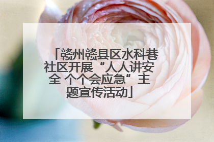 赣州赣县区水科巷社区开展“人人讲安全 个个会应急”主题宣传活动