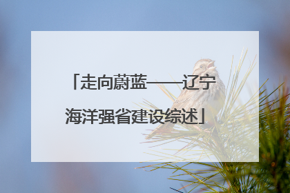 走向蔚蓝——辽宁海洋强省建设综述