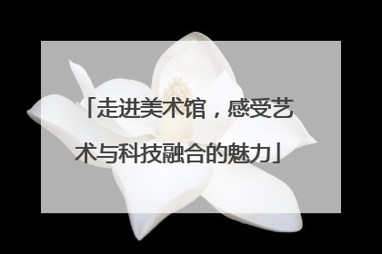 走进美术馆，感受艺术与科技融合的魅力