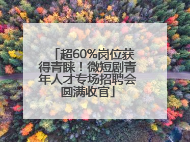 超60%岗位获得青睐！微短剧青年人才专场招聘会圆满收官