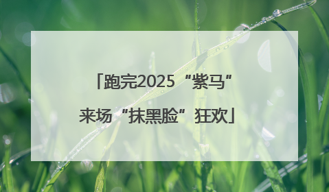 跑完2025“紫马” 来场“抹黑脸”狂欢
