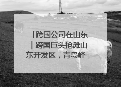 跨国公司在山东｜跨国巨头抢滩山东开发区，青岛峰会拉开帷幕