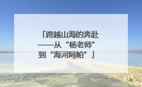 跨越山海的奔赴——从“杨老师”到“海河阿帕”