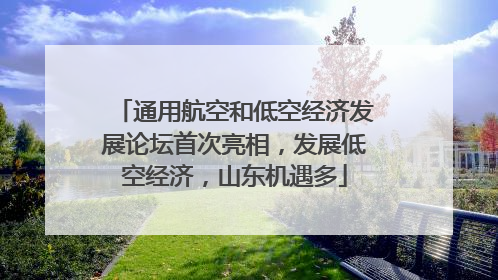 通用航空和低空经济发展论坛首次亮相，发展低空经济，山东机遇多