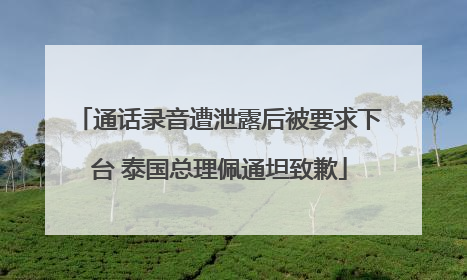 通话录音遭泄露后被要求下台 泰国总理佩通坦致歉