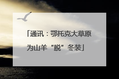 通讯：鄂托克大草原为山羊“脱”冬装