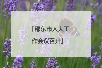 邵东市人大工作会议召开