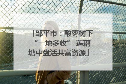 邹平市：酸枣树下“一地多收” 莲藕塘中盘活共富资源
