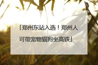 郑州东站入选！郑州人可带宠物猫狗坐高铁